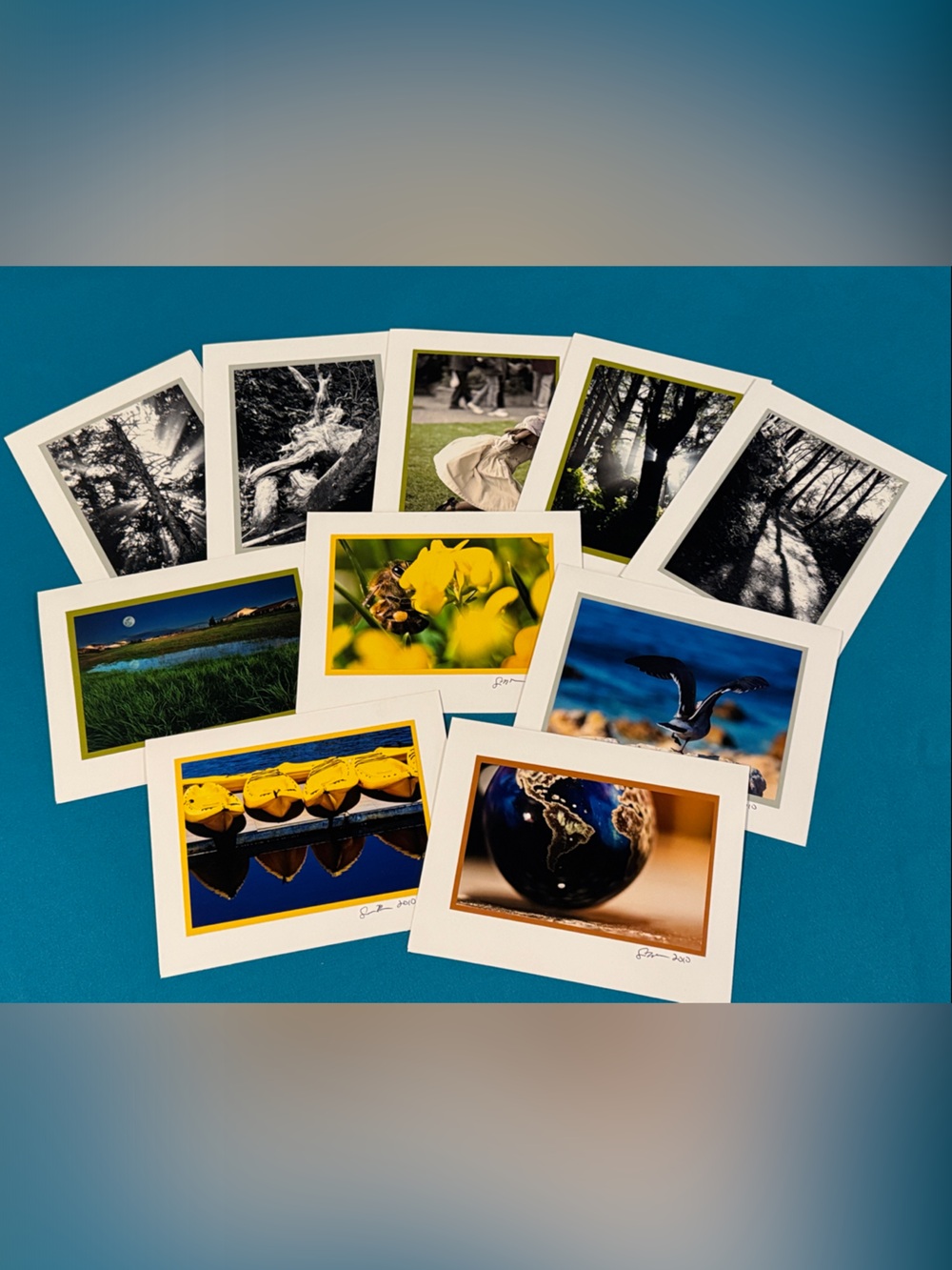 Assorted Photography Art Cards - Set of 10 Blank Note Cards
